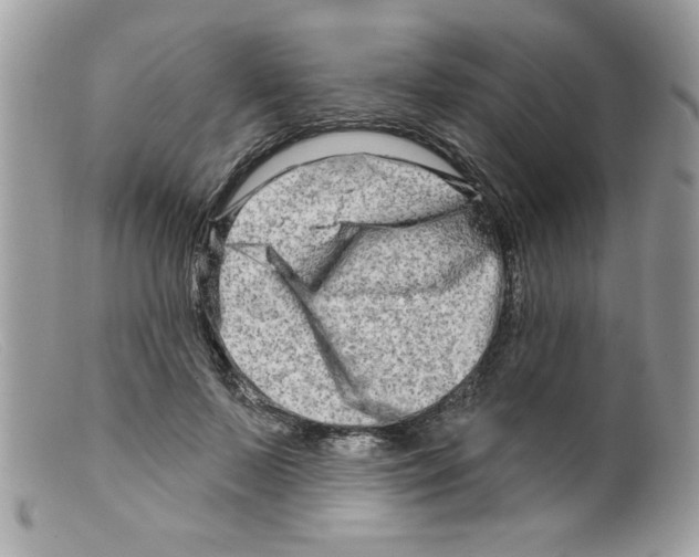 X0000098130695200805151116