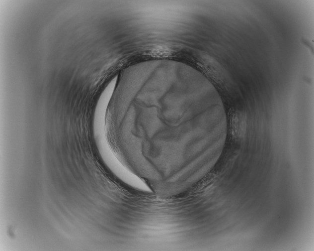 X0000098130697200805151116