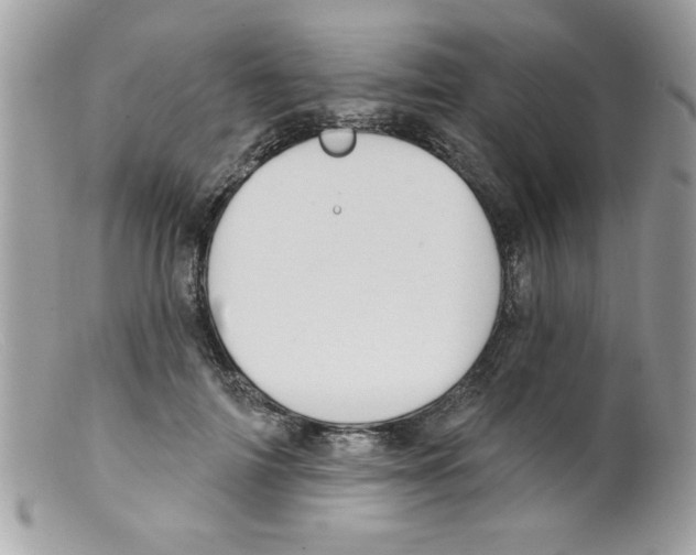 X0000098130698200805151116