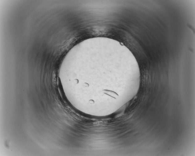 X0000098130700200805151116