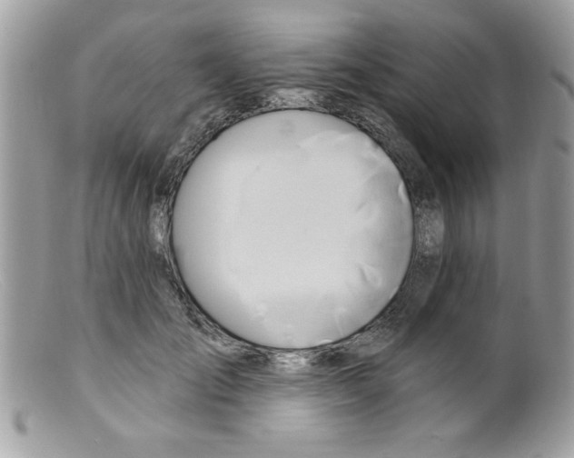 X0000098130701200805151116