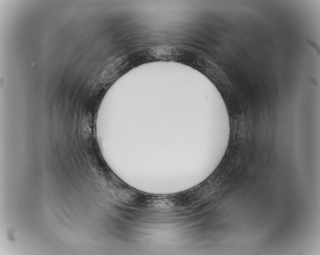 X0000098130702200805151116
