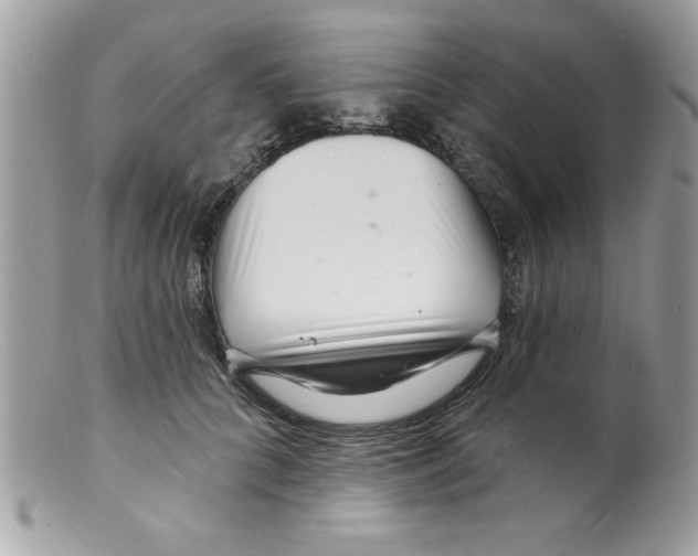 X0000098130704200805151116