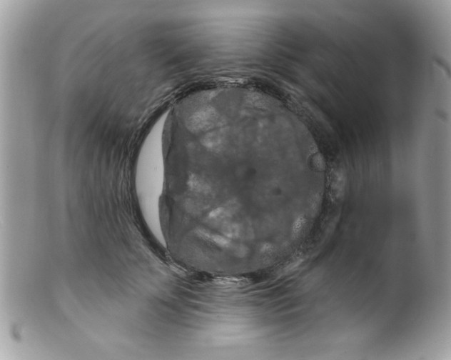 X0000098130707200805151116