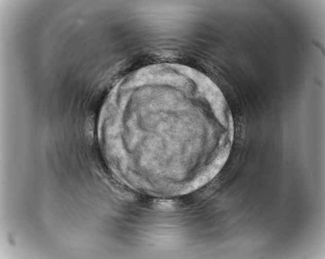 X0000098130710200805151116