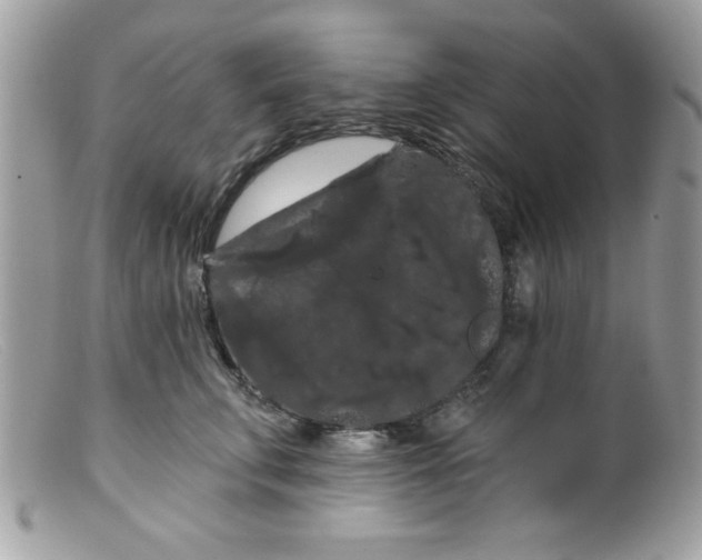 X0000098130711200805151116