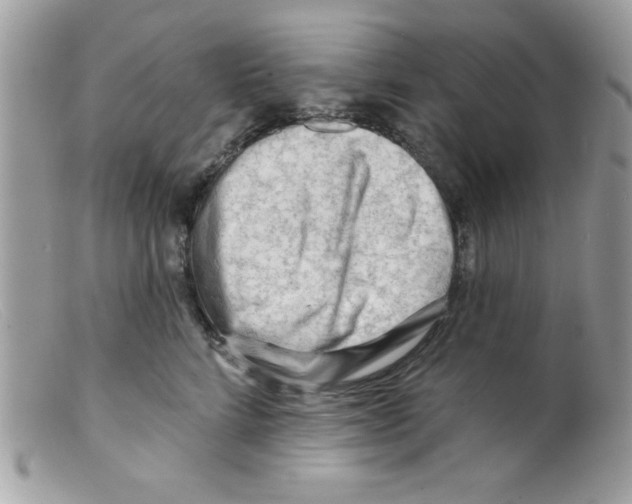 X0000098130712200805151116