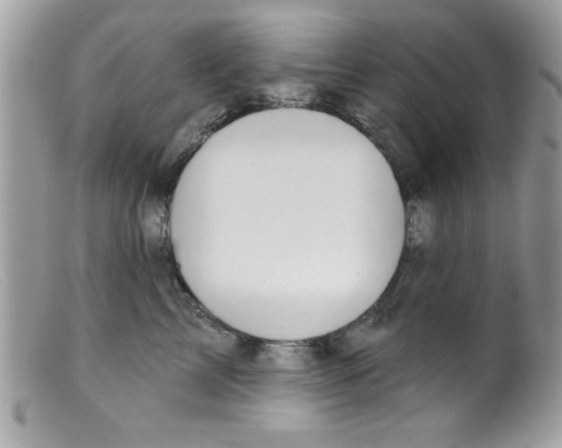 X0000098130713200805151116