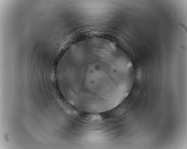 X0000098130715200805151116