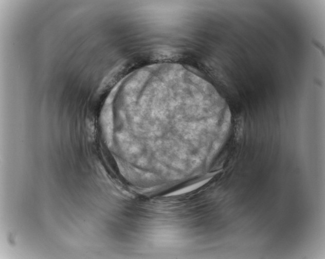 X0000098130716200805151116