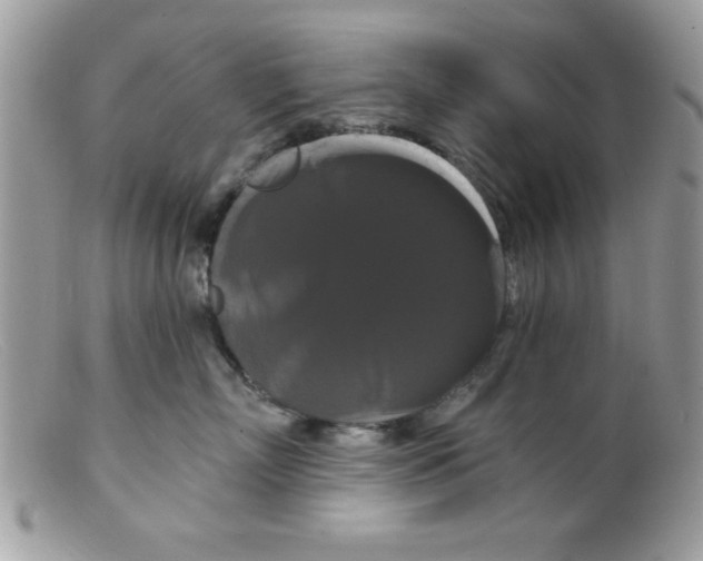 X0000098130718200805151116
