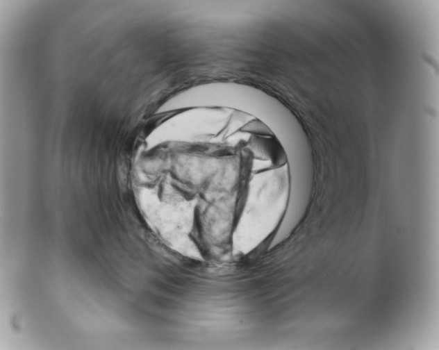 X0000098130720200805151116