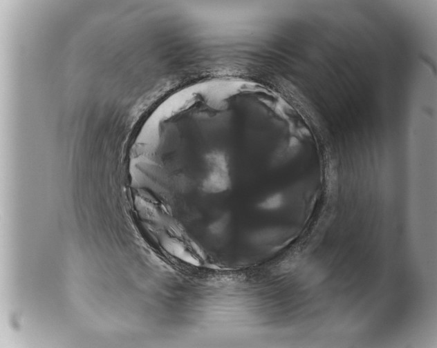 X0000098130721200805151115