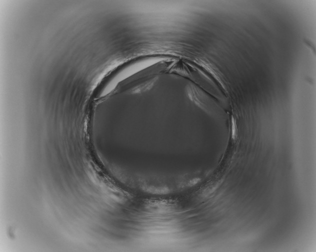 X0000098130723200805151115
