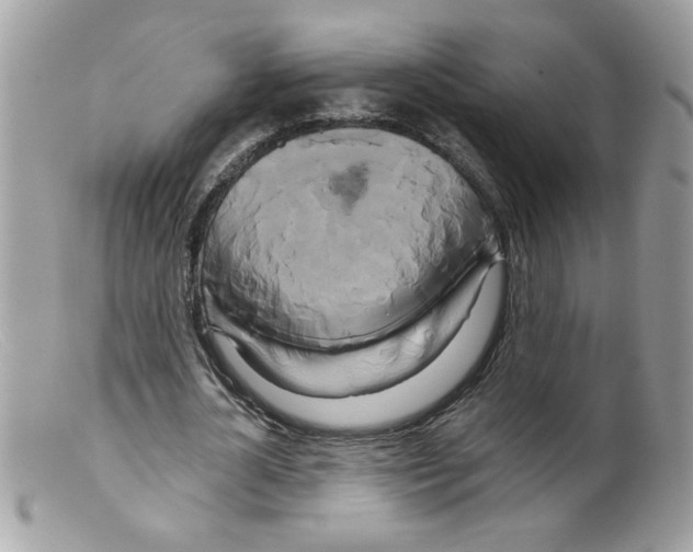 X0000098130724200805151115