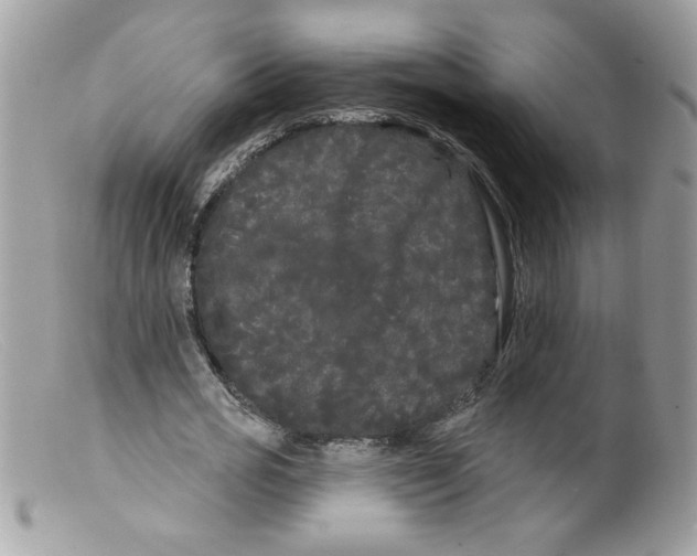 X0000098130725200805151115