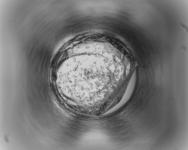 X0000098130726200805151115