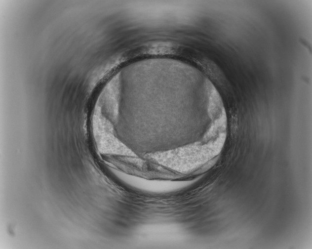 X0000098130727200805151115