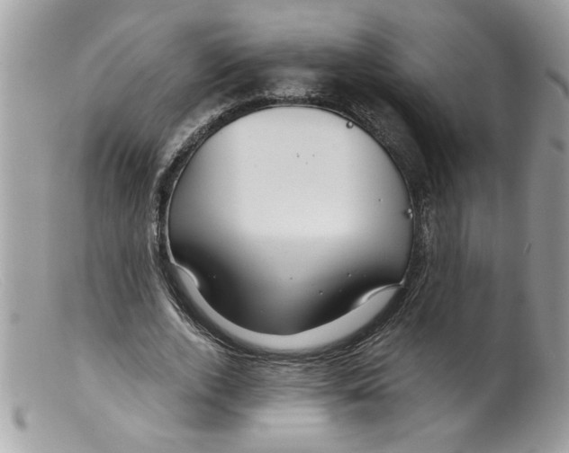 X0000098130728200805151115
