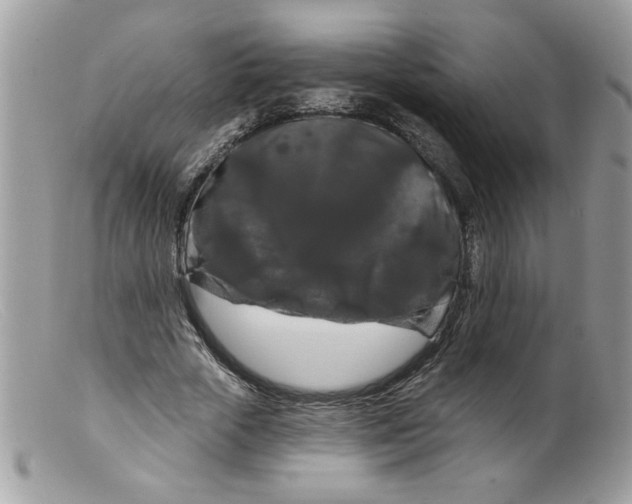 X0000098130729200805151115