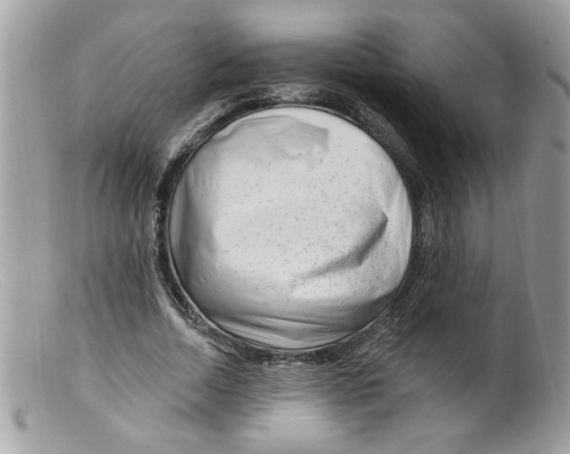 X0000098130730200805151115