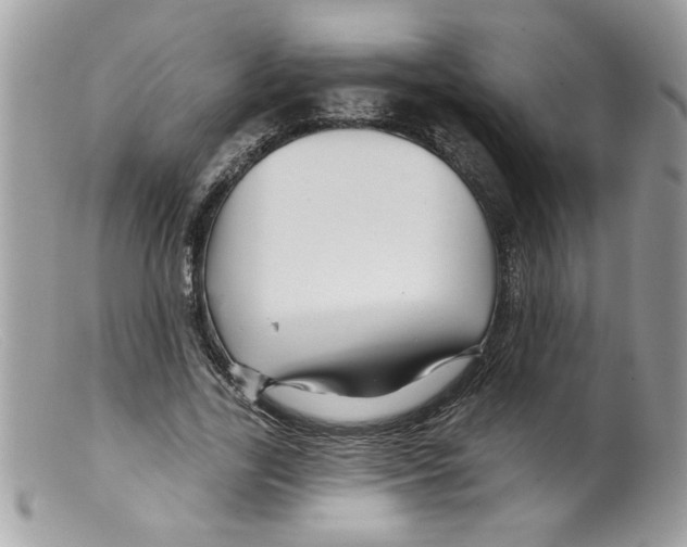X0000098130731200805151115