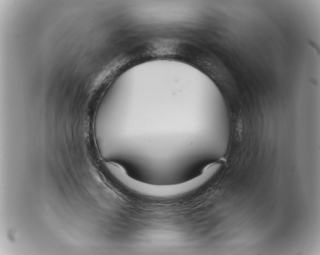 X0000098130732200805151115