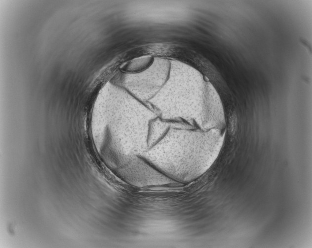 X0000098130733200805151115