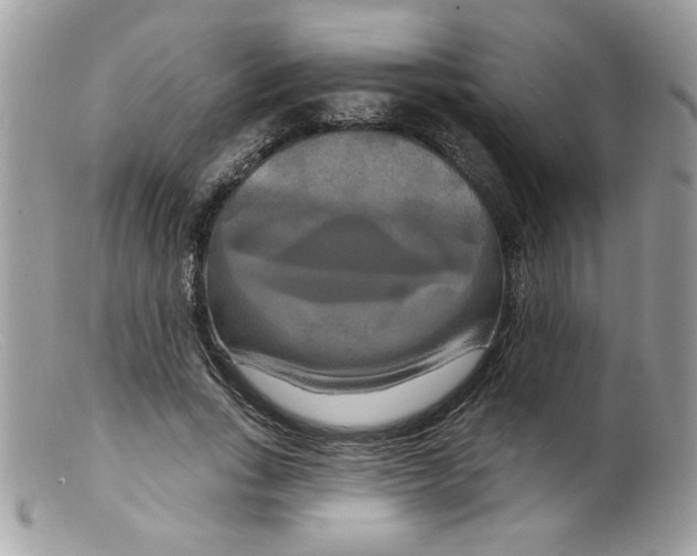 X0000098130735200805151115