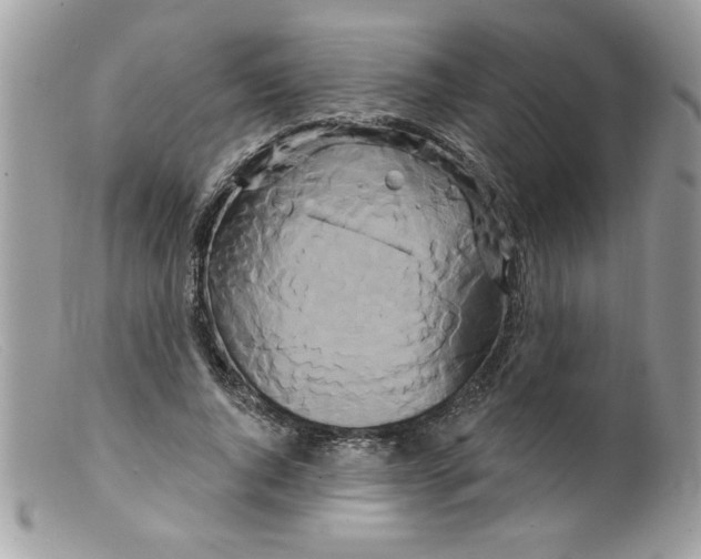 X0000098130736200805151115