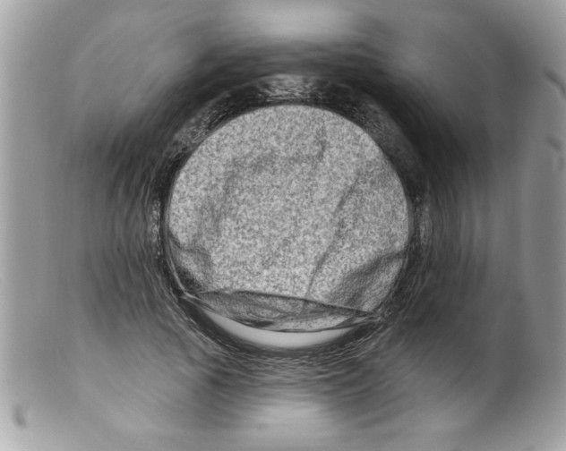 X0000098130737200805151115