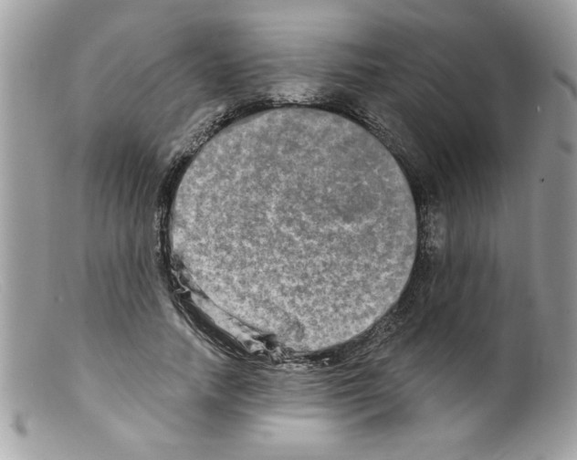 X0000098130738200805151115