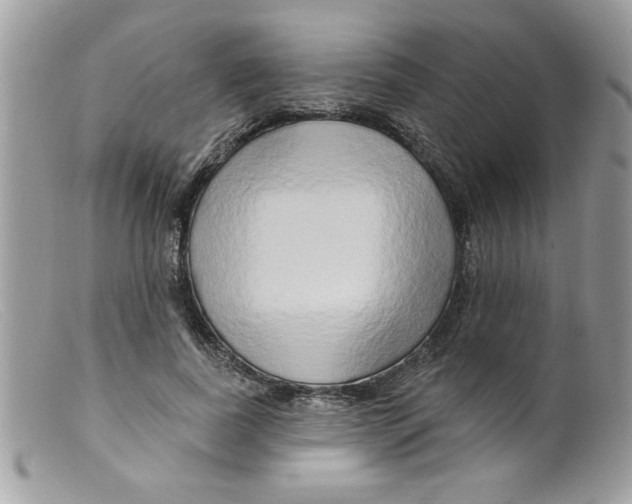 X0000098130739200805151115