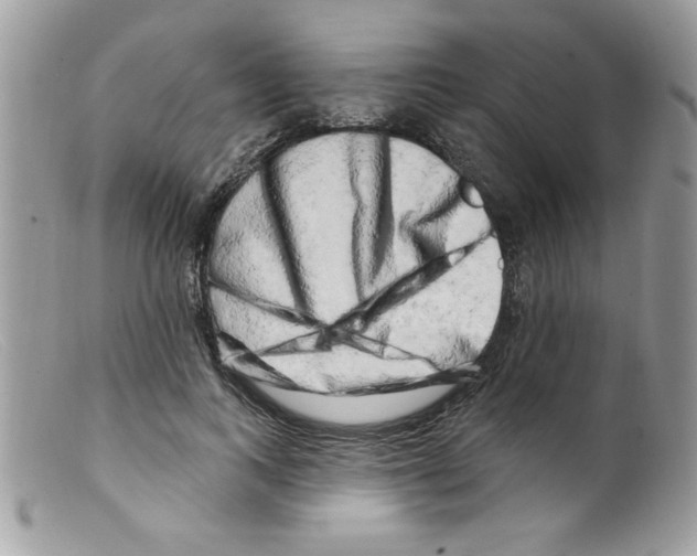 X0000098130743200805151115