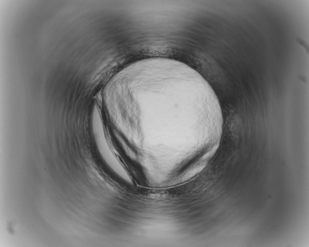 X0000098130744200805151115