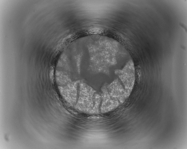 X0000098130745200805151115