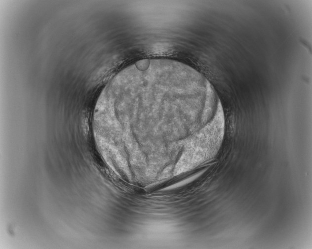 X0000098130746200805151115