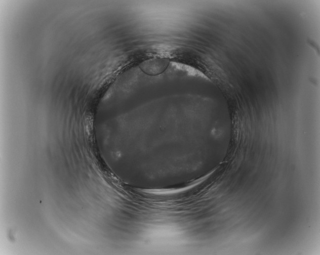 X0000098130747200805151115