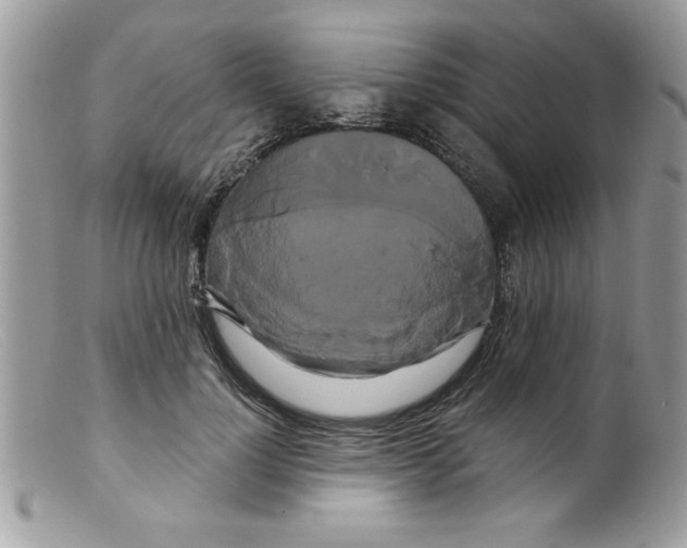 X0000098130748200805151115