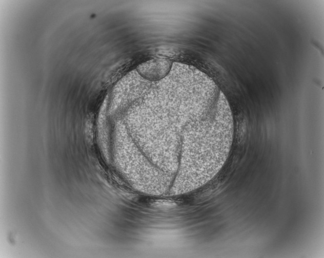 X0000098130749200805151115