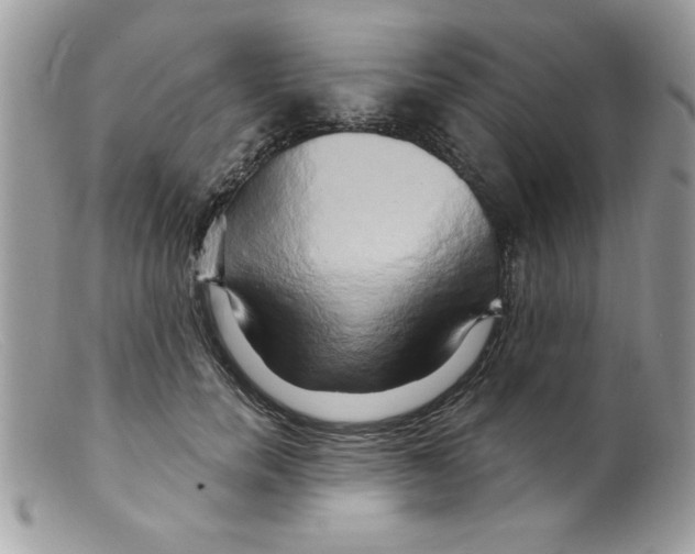 X0000098130750200805151115