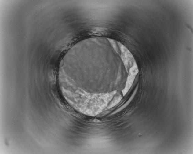 X0000098130751200805151115