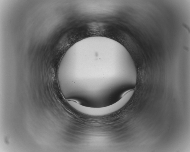 X0000098130752200805151115