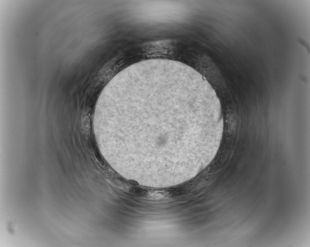X0000098130753200805151115