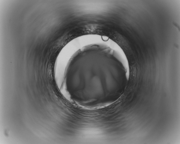 X0000098130754200805151115