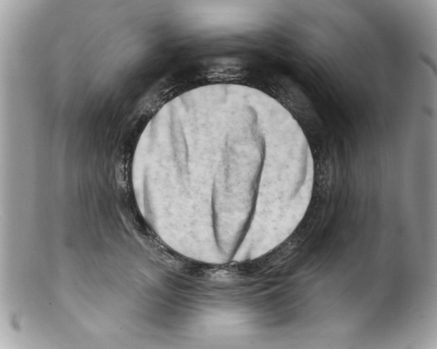 X0000098130755200805151115