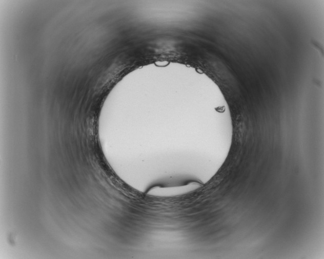 X0000098130756200805151115