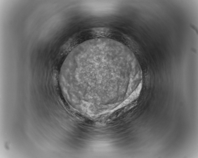 X0000098130757200805151115