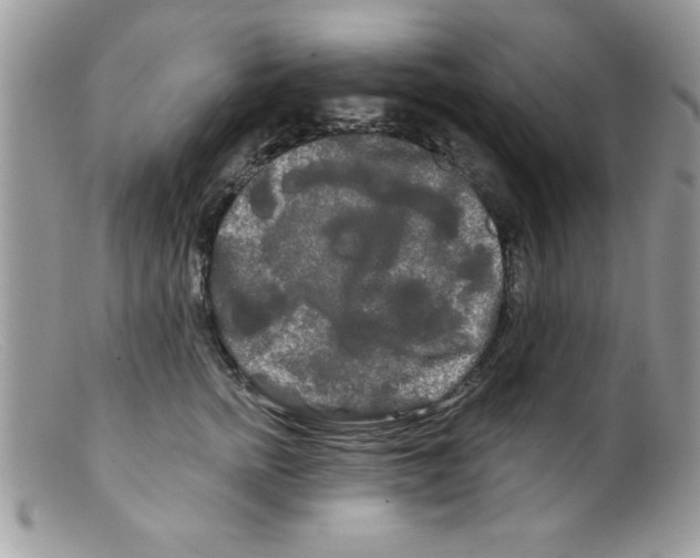 X0000098130758200805151115
