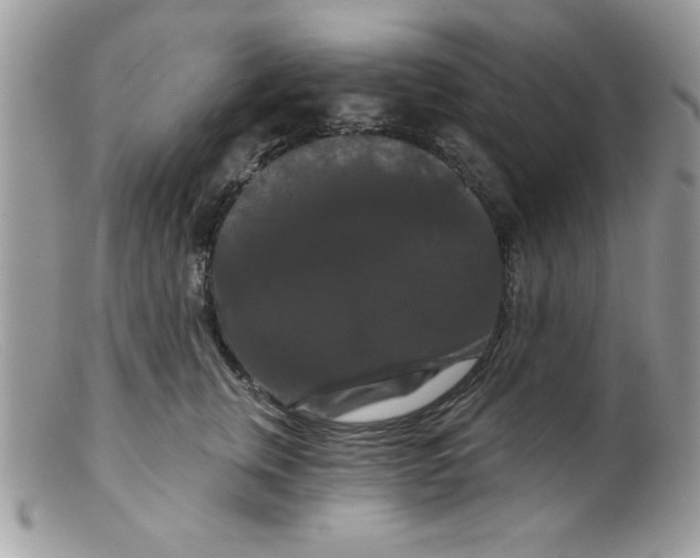 X0000098130759200805151115